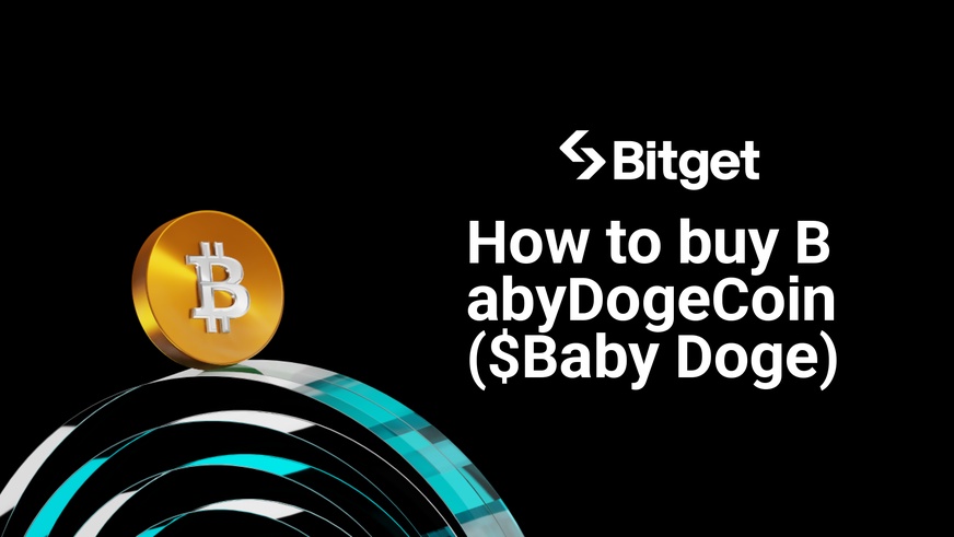 How to buy BabyDogeCoin